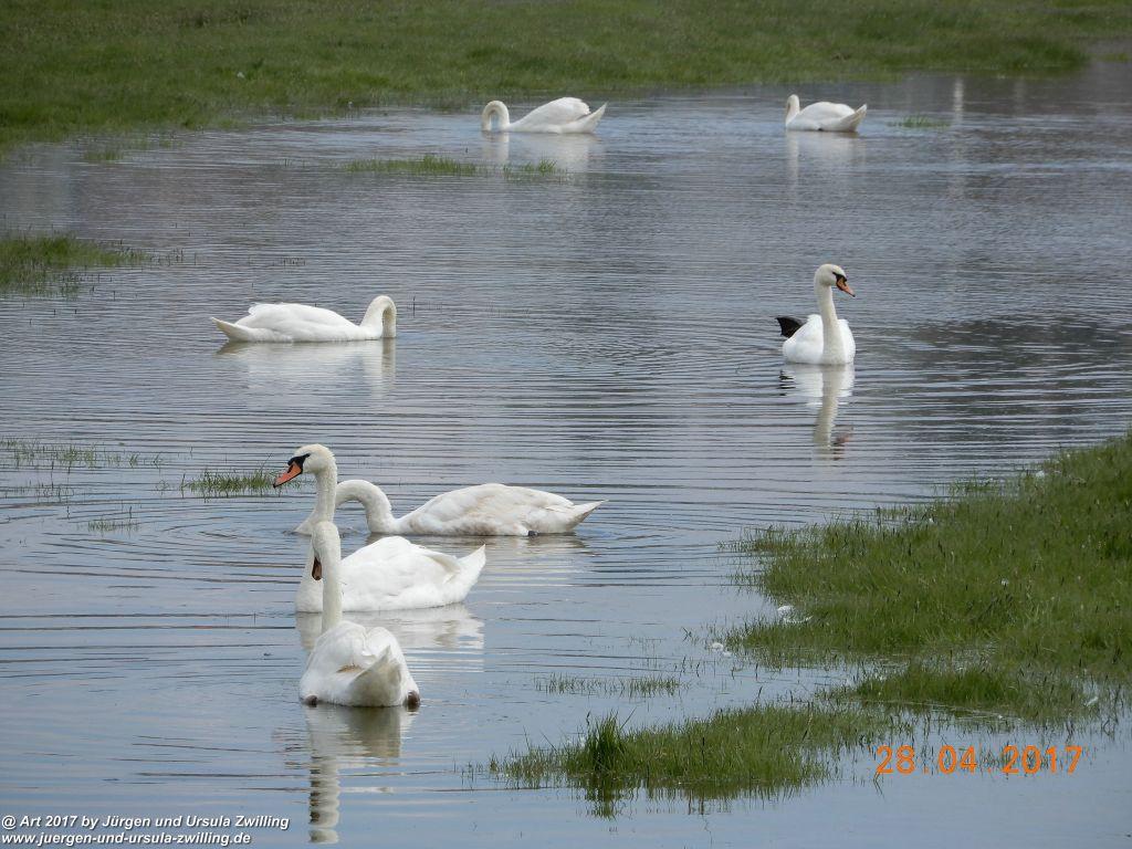 Philosophische Bildwanderung Die Klippen von Criel - Alabasterküste - Normandie - Frankreich
