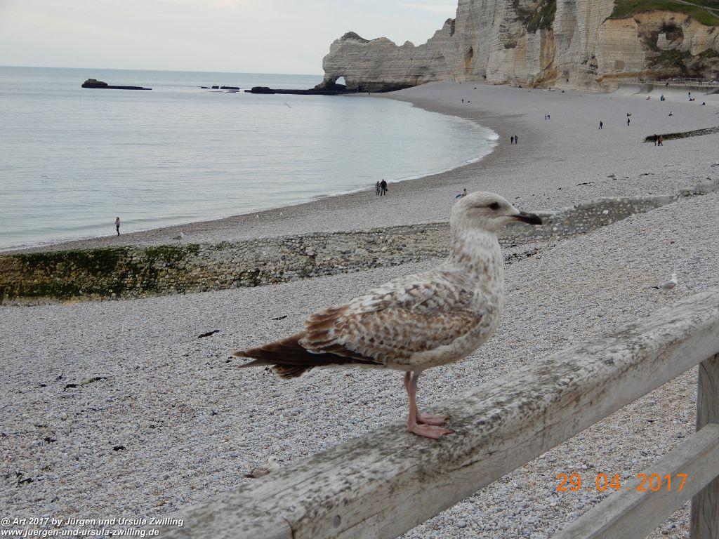 Étretat - Normandie - Frankfreich