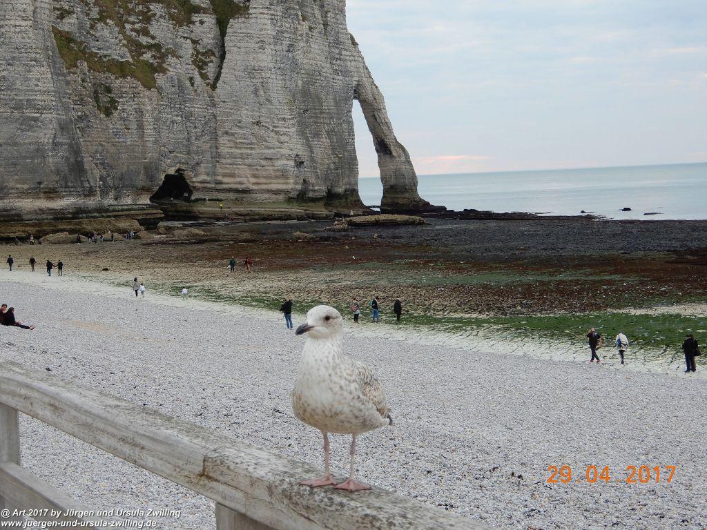 Étretat - Normandie - Frankfreich
