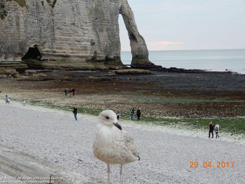 Étretat - Normandie - Frankfreich