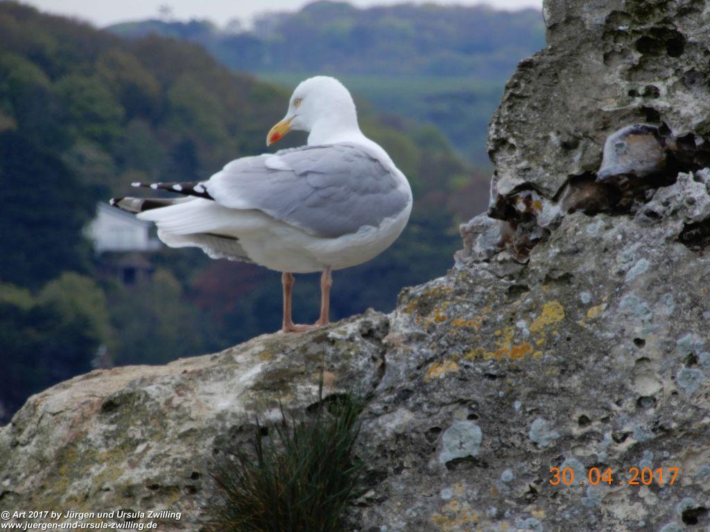 Philosophische Bildwanderung Porte d'Aval mit Valleuse d'Antifer (Étretat I) - Normandie - Frankreich