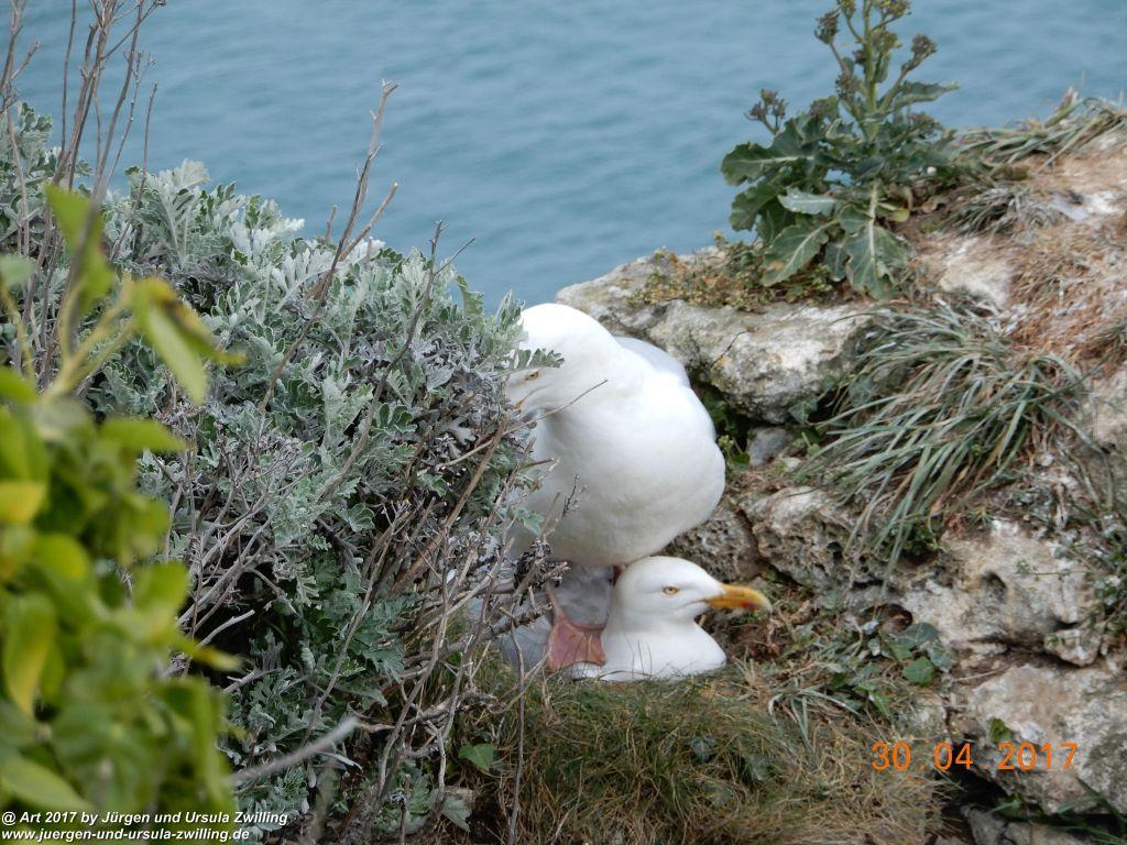 Philosophische Bildwanderung Porte d'Aval mit Valleuse d'Antifer (Étretat I) - Normandie - Frankreich