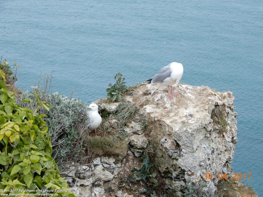 Philosophische Bildwanderung Porte d'Aval mit Valleuse d'Antifer (Étretat I) - Normandie - Frankreich