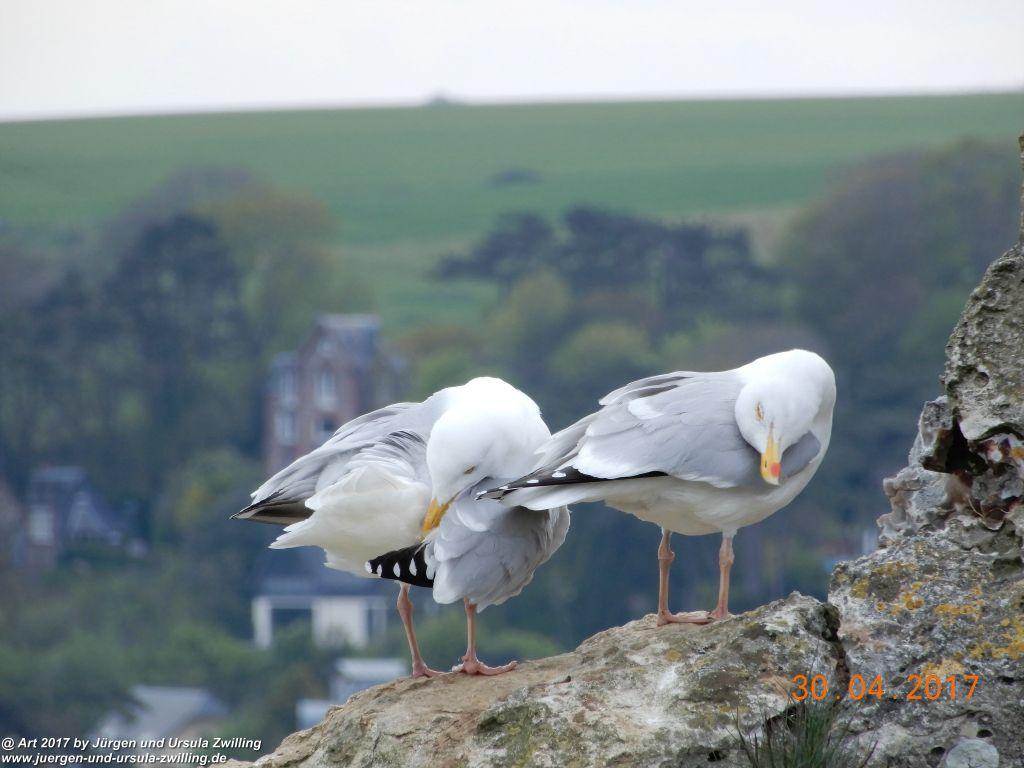 Philosophische Bildwanderung Porte d'Aval mit Valleuse d'Antifer (Étretat I) - Normandie - Frankreich