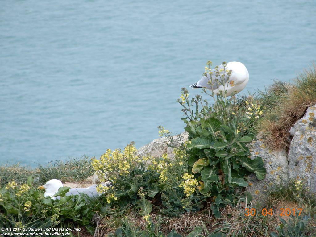 Philosophische Bildwanderung Porte d'Aval mit Valleuse d'Antifer (Étretat I) - Normandie - Frankreich