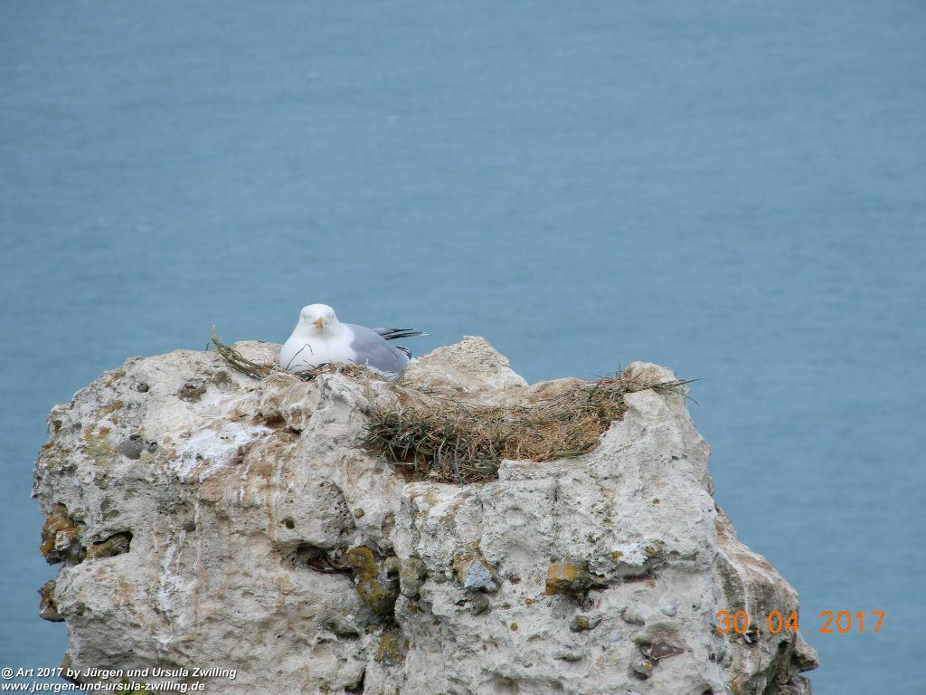 Philosophische Bildwanderung Porte d'Aval mit Valleuse d'Antifer (Étretat I) - Normandie - Frankreich