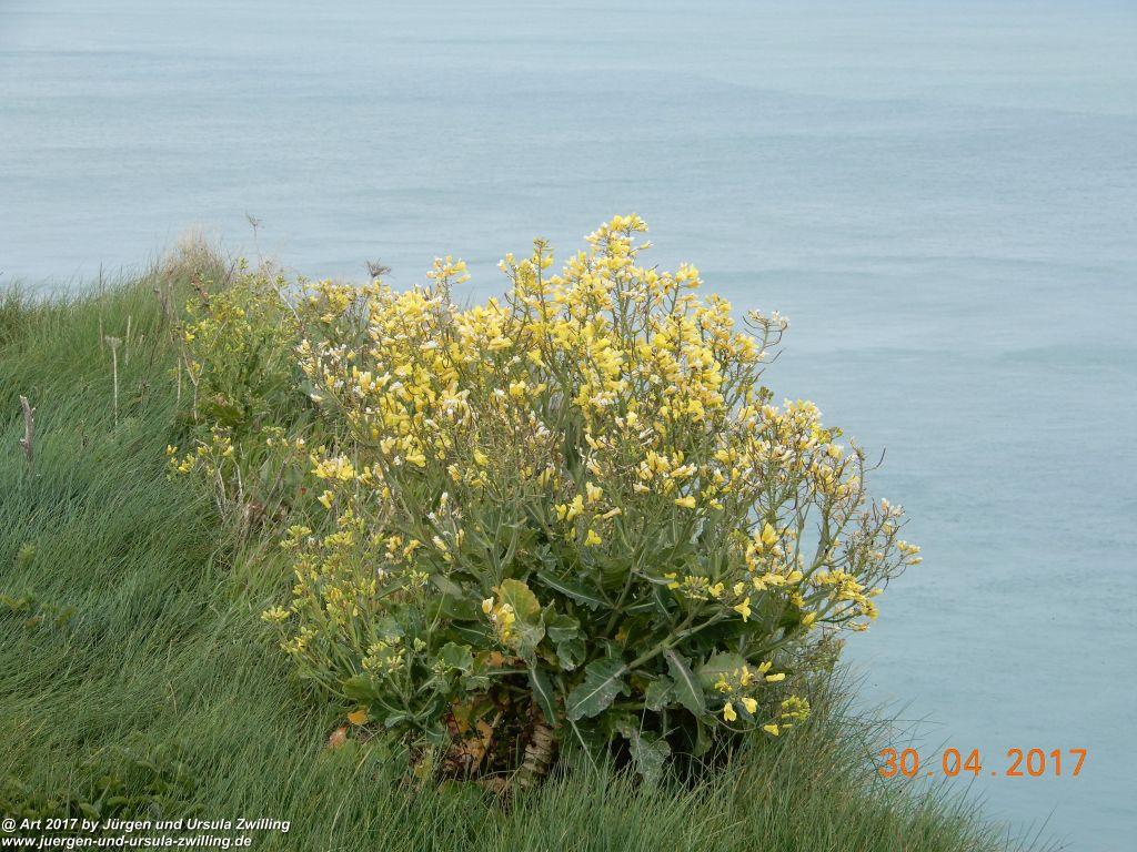 Philosophische Bildwanderung Porte d'Aval mit Valleuse d'Antifer (Étretat I) - Normandie - Frankreich
