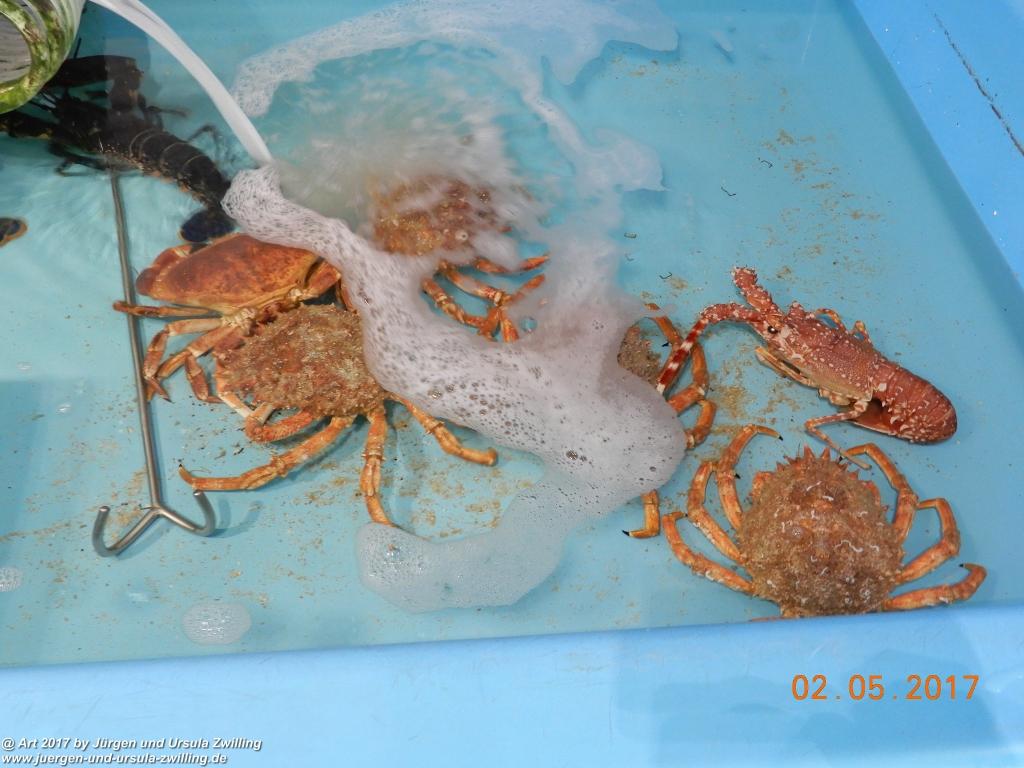 Honfleur - Normandie - Frankreich