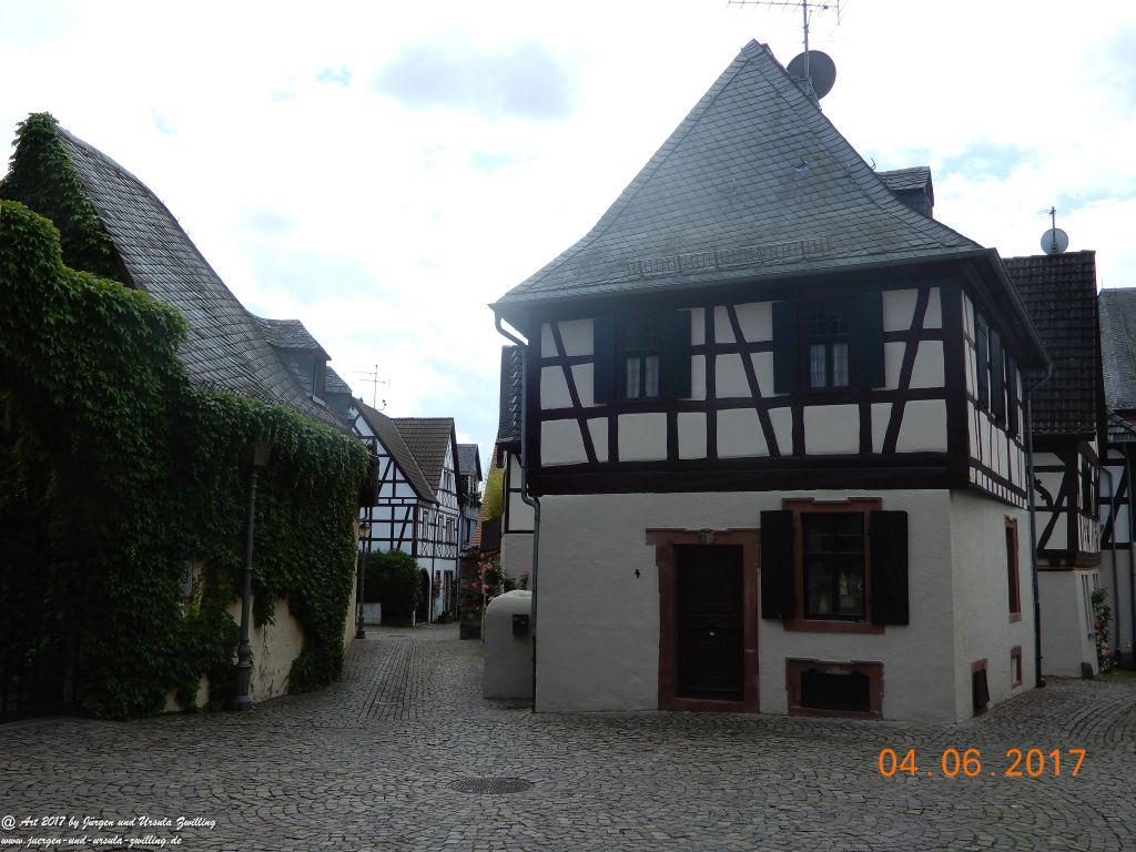 Eltville am Rhein - Rosentage