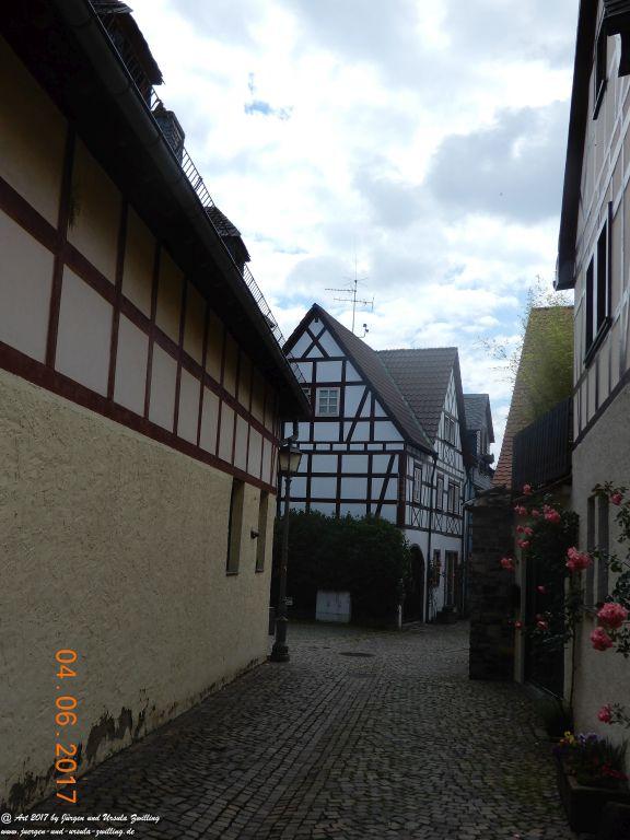 Eltville am Rhein - Rosentage