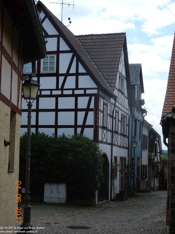 Eltville am Rhein - Rosentage