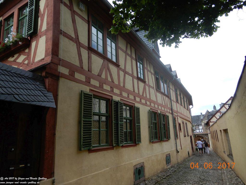 Eltville am Rhein - Rosentage