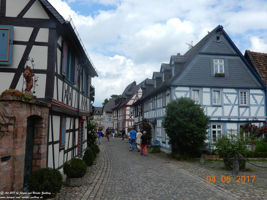 Eltville am Rhein - Rosentage