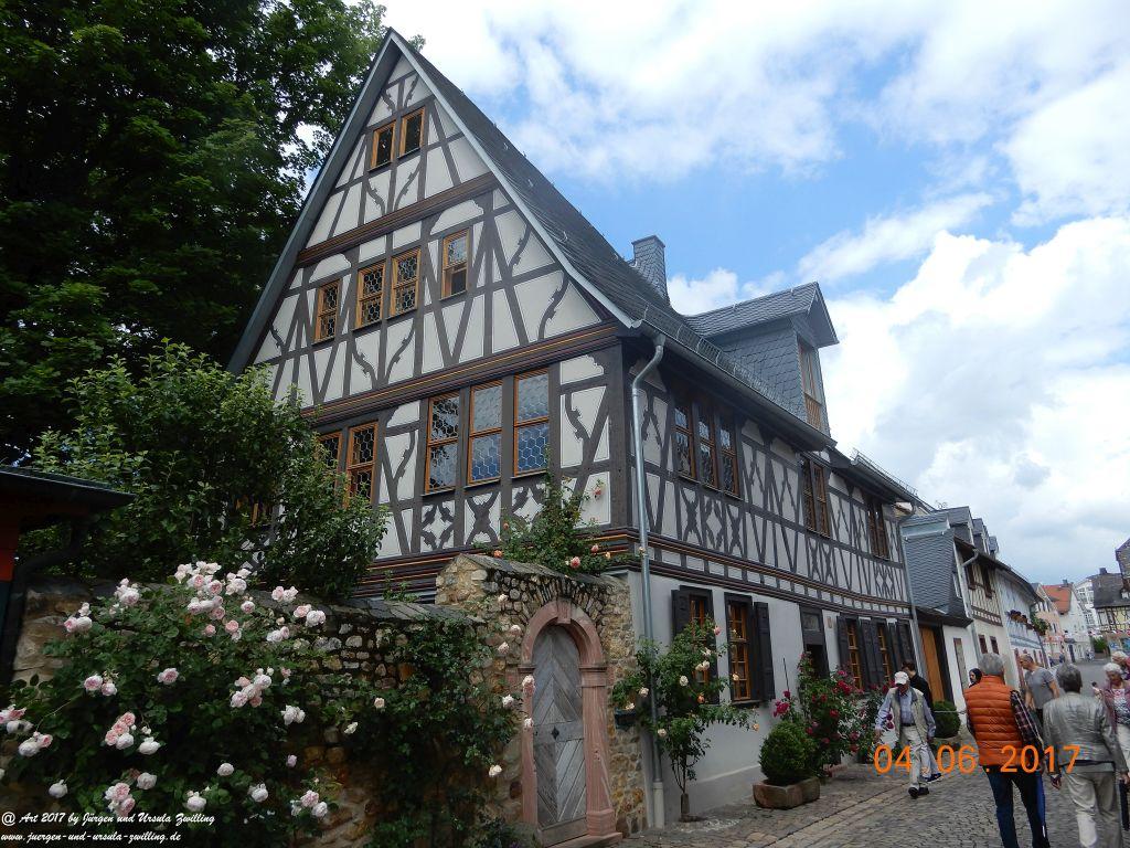 Eltville am Rhein - Rosentage