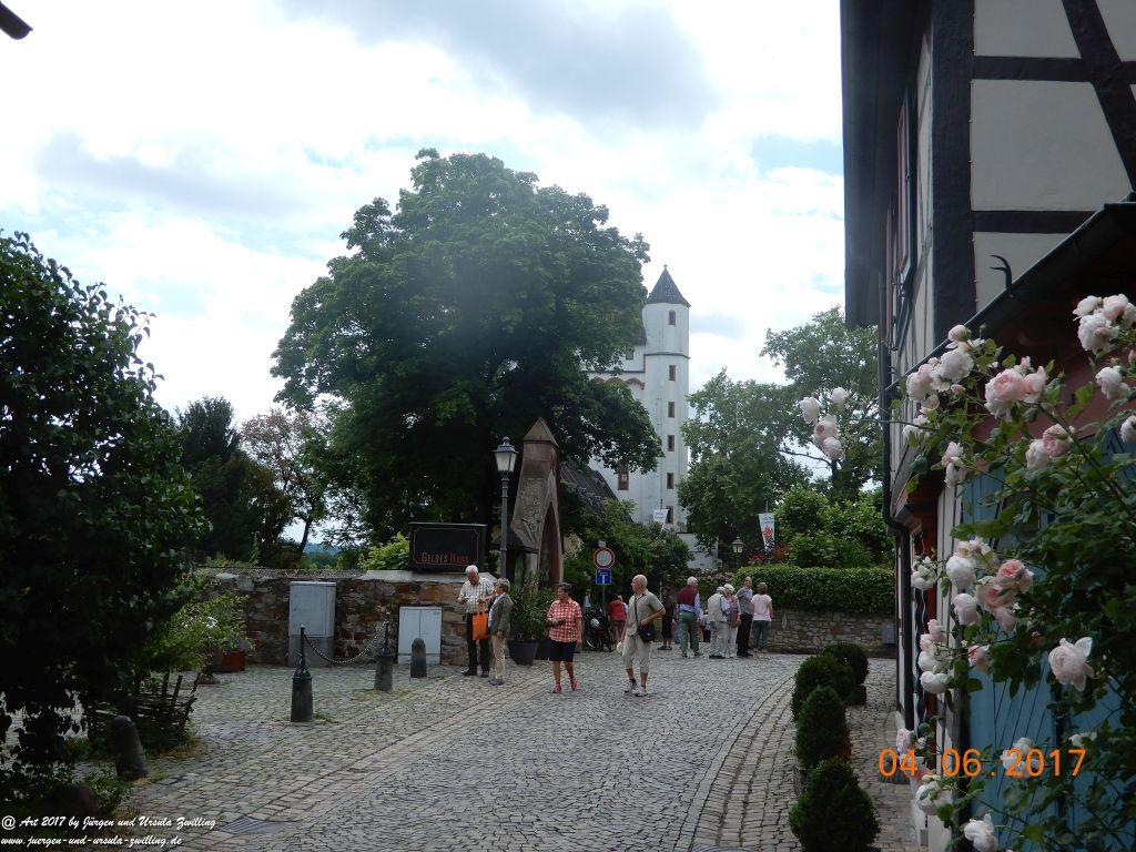 Eltville am Rhein - Rosentage