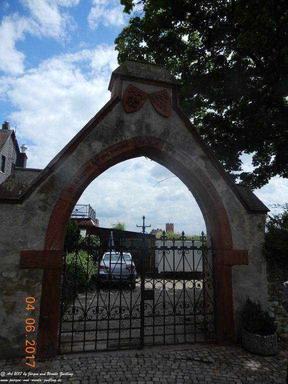 Eltville am Rhein - Rosentage