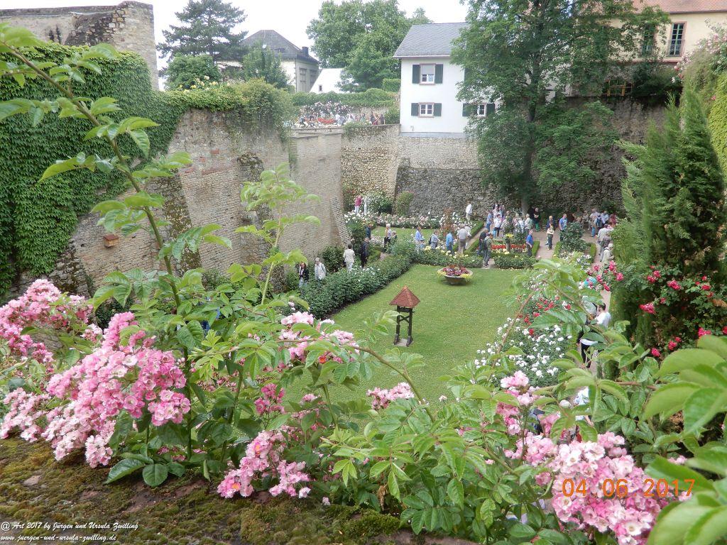 Eltville am Rhein - Rosentage