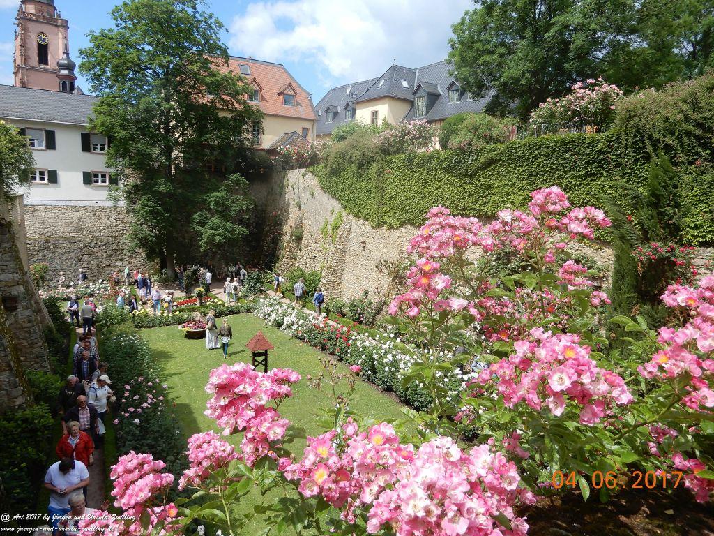 Eltville am Rhein - Rosentage