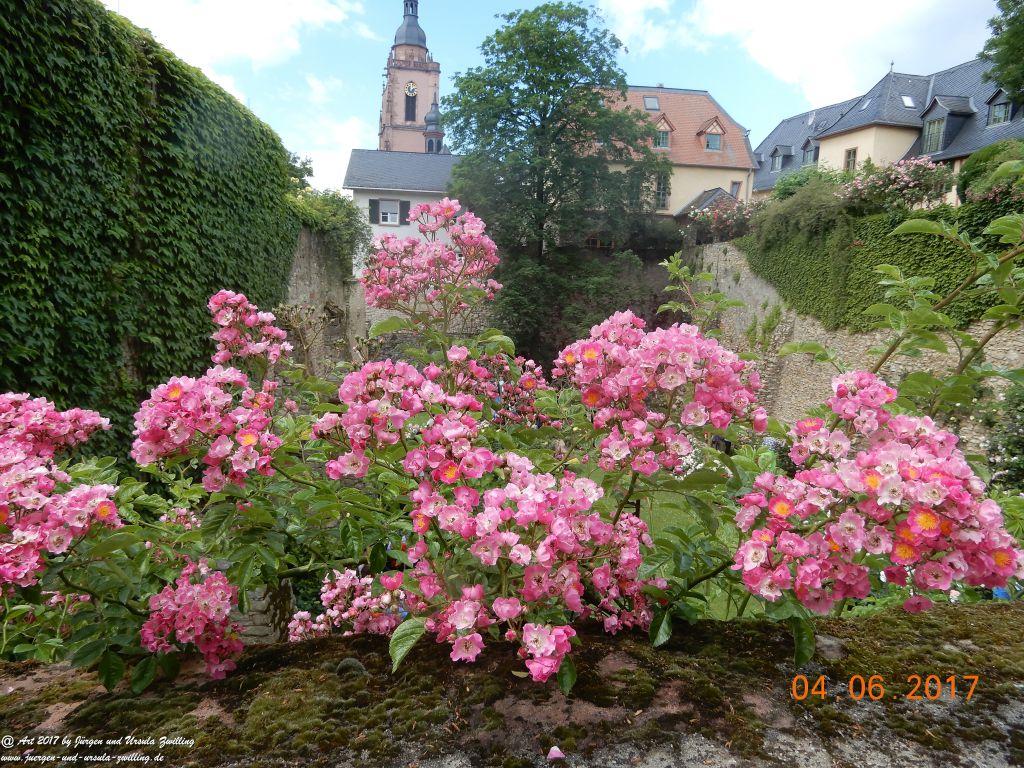 Eltville am Rhein - Rosentage