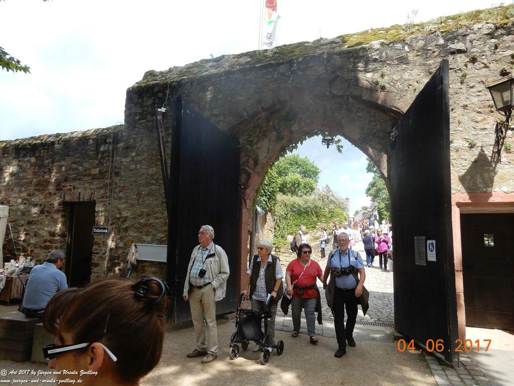 Eltville am Rhein - Rosentage