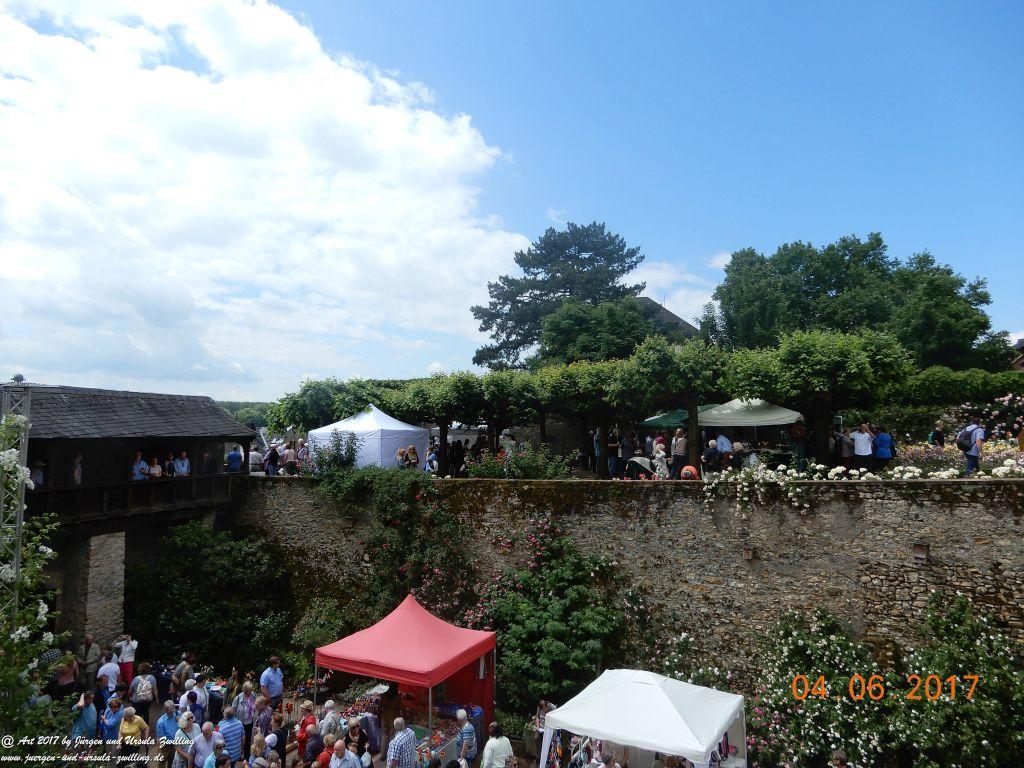 Eltville am Rhein - Rosentage