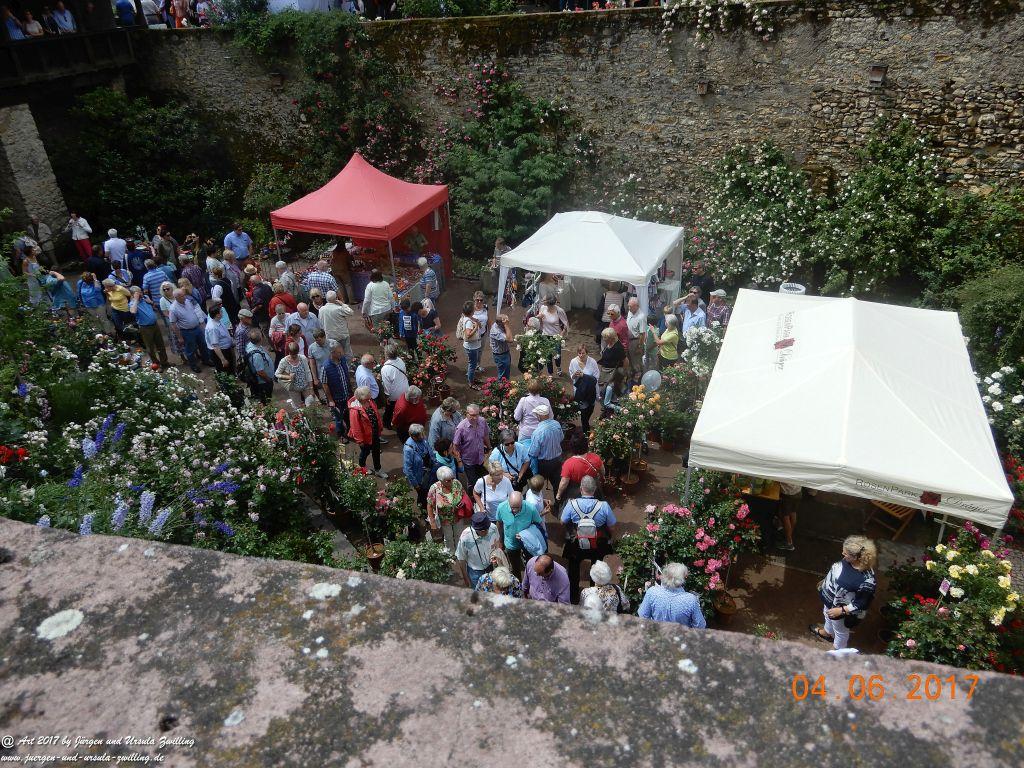 Eltville am Rhein - Rosentage