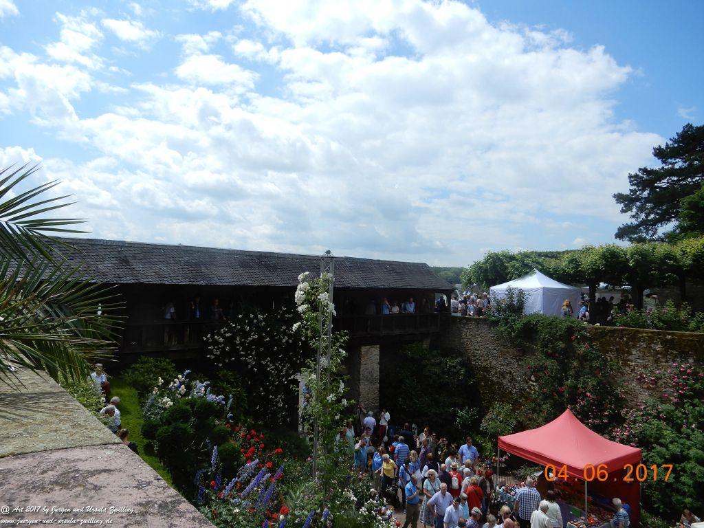 Eltville am Rhein - Rosentage