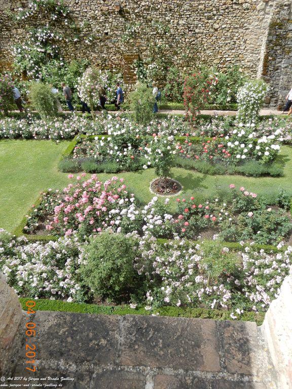 Eltville am Rhein - Rosentage