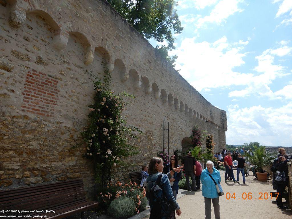 Eltville am Rhein - Rosentage