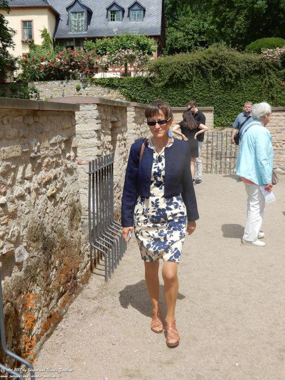 Eltville am Rhein - Rosentage