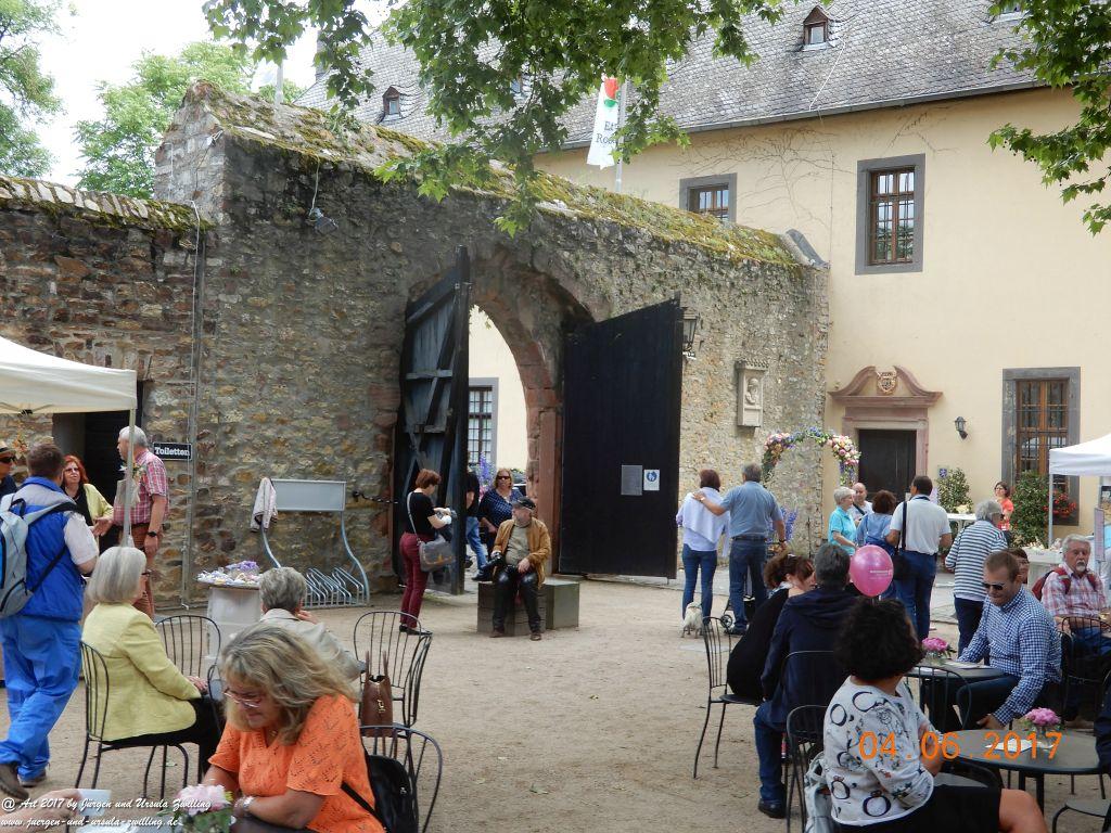 Eltville am Rhein - Rosentage