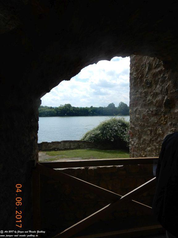 Eltville am Rhein - Rosentage