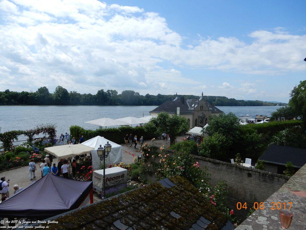 Eltville am Rhein - Rosentage