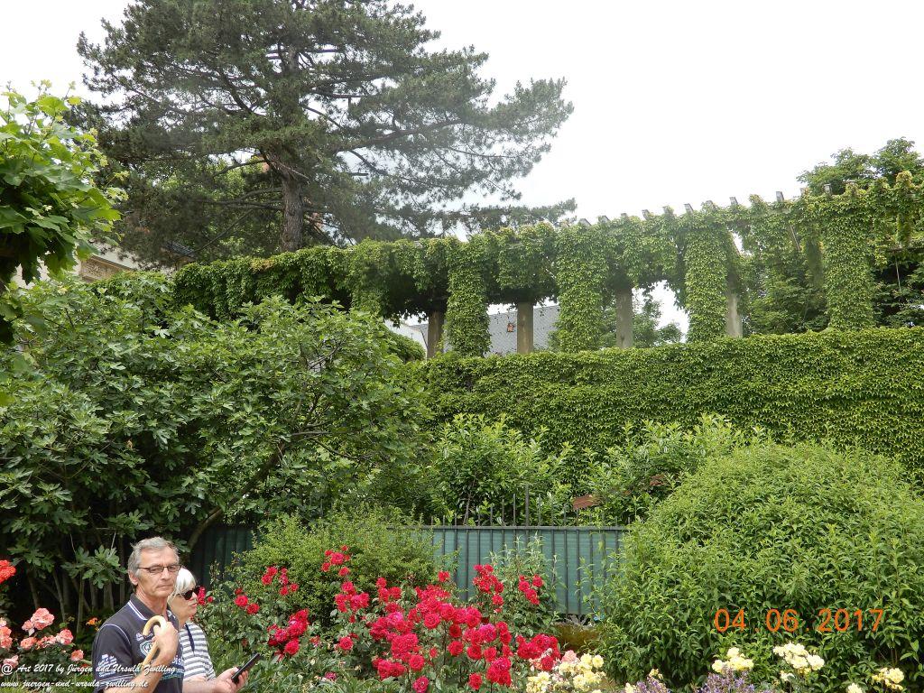 Eltville am Rhein - Rosentage