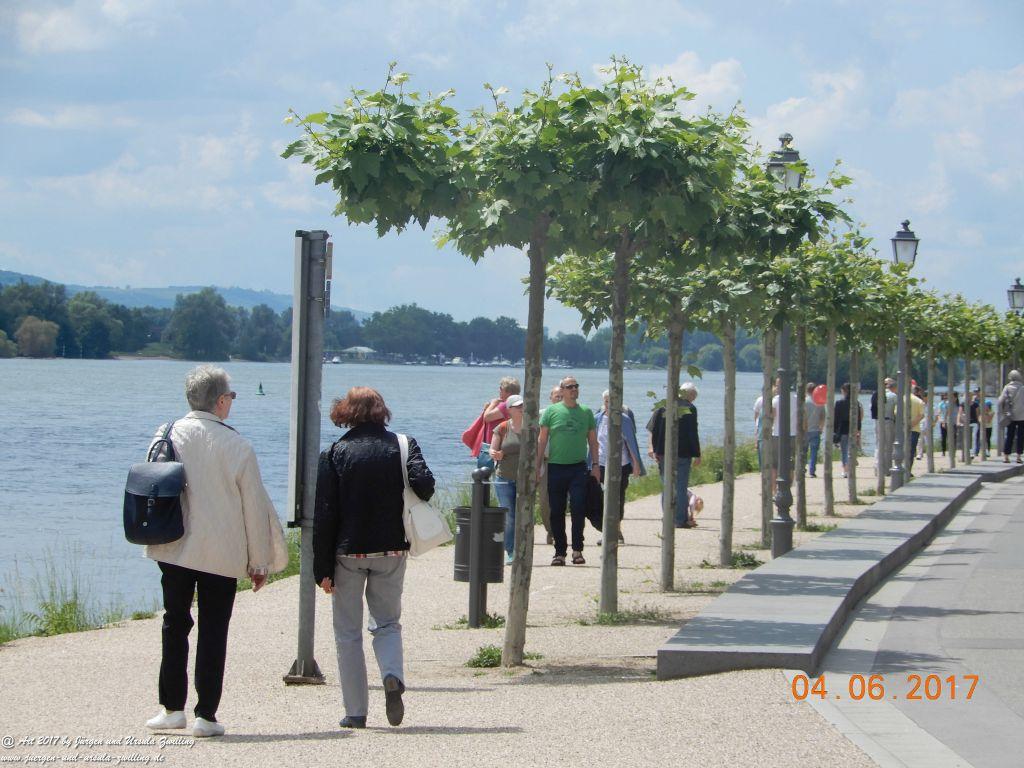 Eltville am Rhein - Rosentage