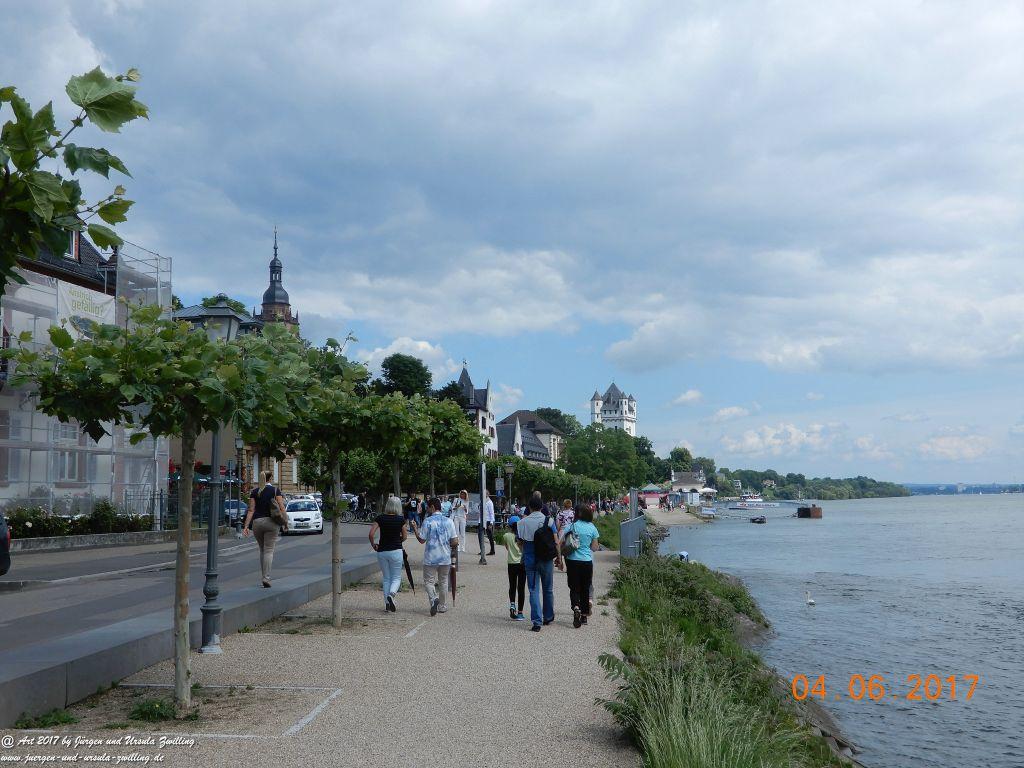 Eltville am Rhein - Rosentage