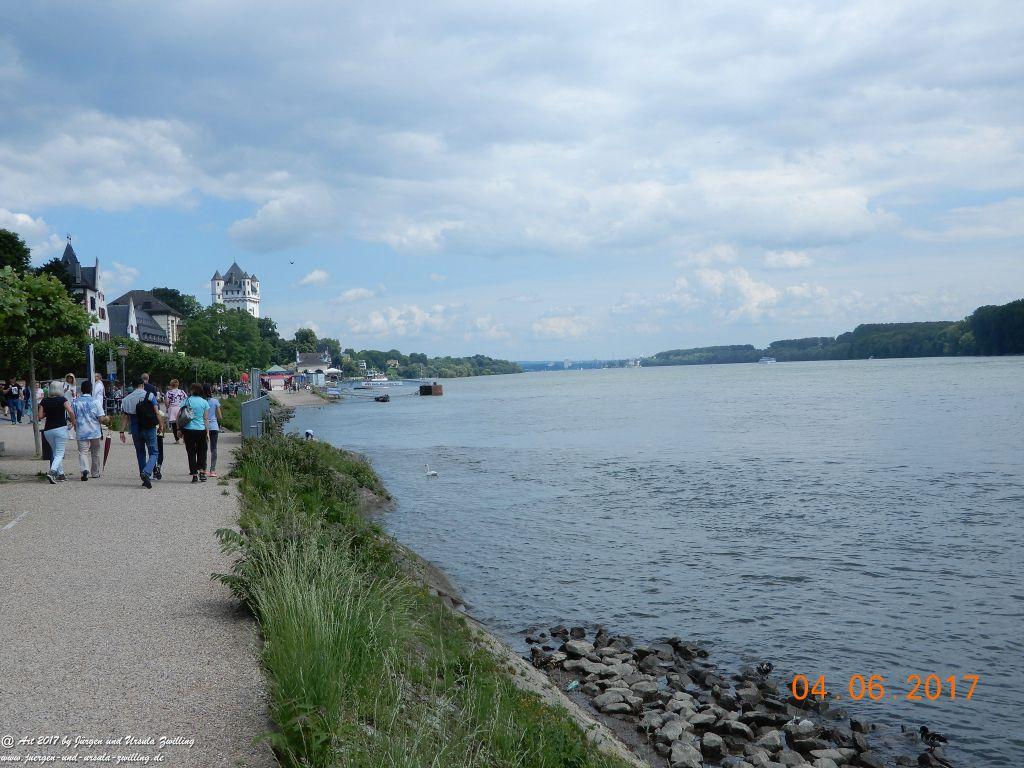 Eltville am Rhein - Rosentage