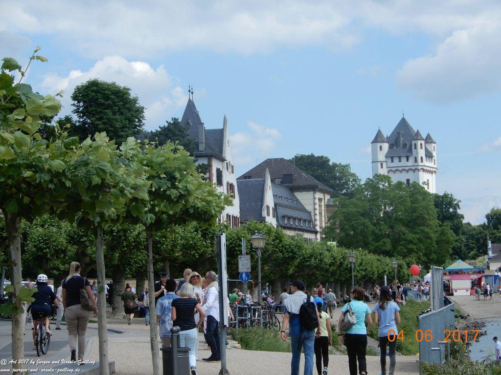 Eltville am Rhein - Rosentage