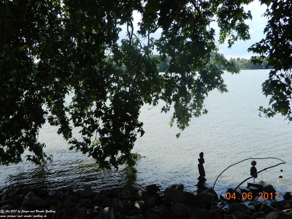 Eltville am Rhein - Rosentage