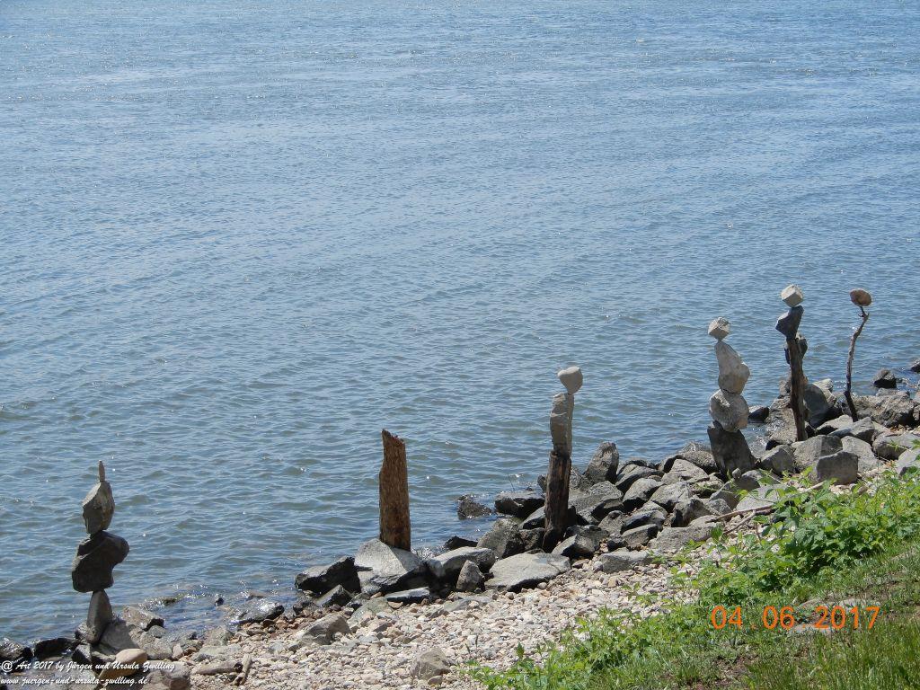 Eltville am Rhein - Rosentage