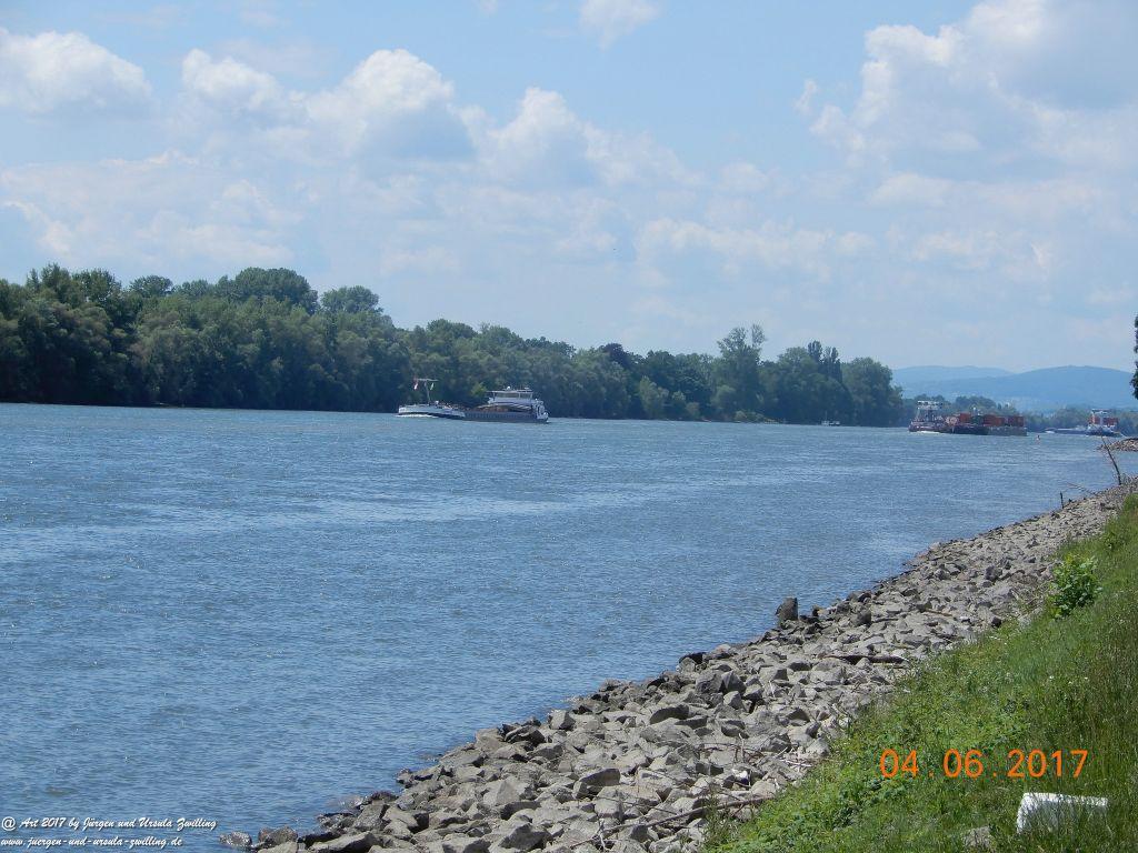Eltville am Rhein - Rosentage
