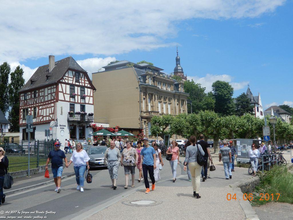 Eltville am Rhein - Rosentage